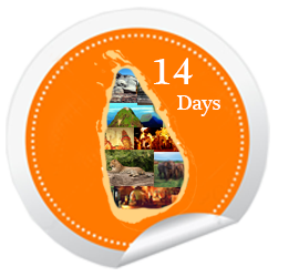 14 Days Logo