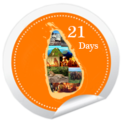 21 Days logo